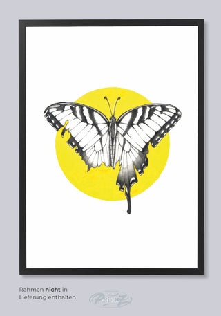 PRINT 30x40 BUTTERFLY BY FTA.