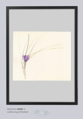 SAFFRON FLOWER BY ERIKA MORGAN