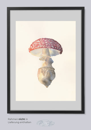 FLY AGARIC BY ERIKA MORGEN